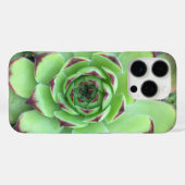 先端が紫のグリーン系多肉植物のクローズアップ写真 Case-Mate iPhoneケース (裏面 (横))