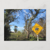 先行き100人 ポストカード (正面)