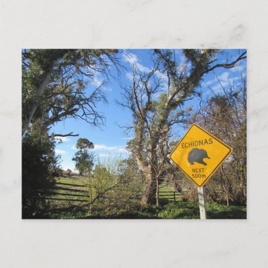 先行き100人 ポストカード (正面)