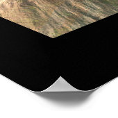 先見の明のある峡谷 ポスター (角)