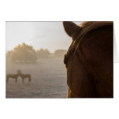 先読みグリーティングカード (正面横)