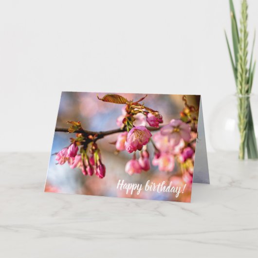 光と遊影が桜の花の花びら カード (正面)