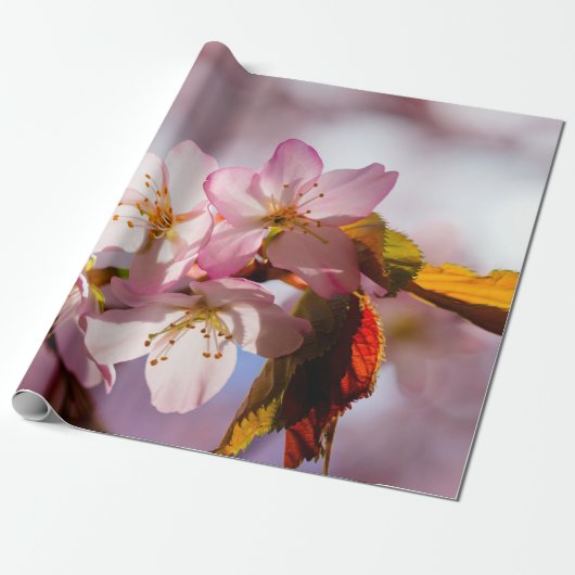 光と遊影の桜の花びら ラッピングペーパー (アンロールド)