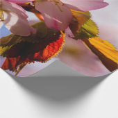 光と遊影の桜の花びら ラッピングペーパー (角)