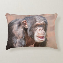 光と静寂 – Chimpanzee Stance