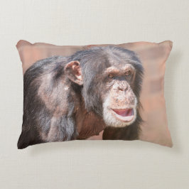 光と静寂 – Chimpanzee Stance アクセントクッション