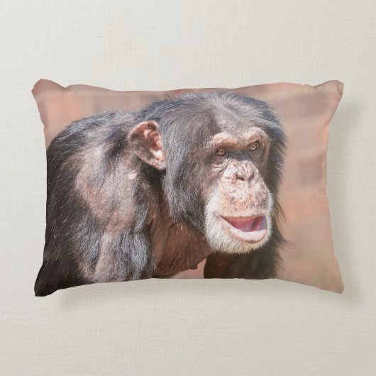 光と静寂 – Chimpanzee Stance アクセントクッション (正面)