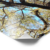 光のアーチ フォトプリント            (角)