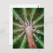 光のキャッチ ポストカード (正面/裏面)