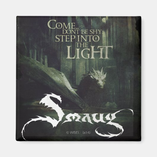 光の中に入る マグネット (正面)