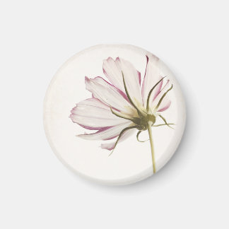 「光の中に立つ」磁石 マグネット