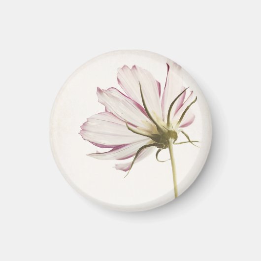 「光の中に立つ」磁石 マグネット (正面)