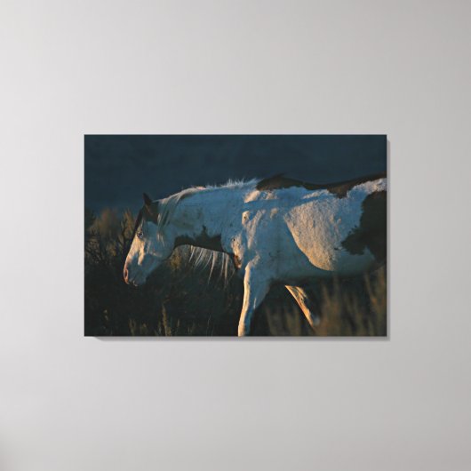 "光の中に"シャーマンメディシンハットStallion キャンバスプリント (正面)