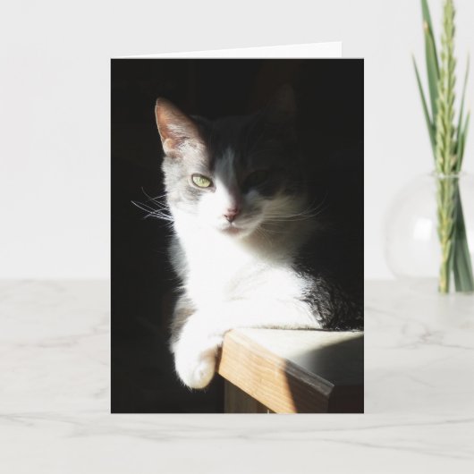 「光の中のココ」グリーティングカード カード (正面)