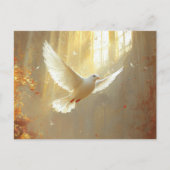 光の中の白い絵を描鳩 ポストカード (正面)