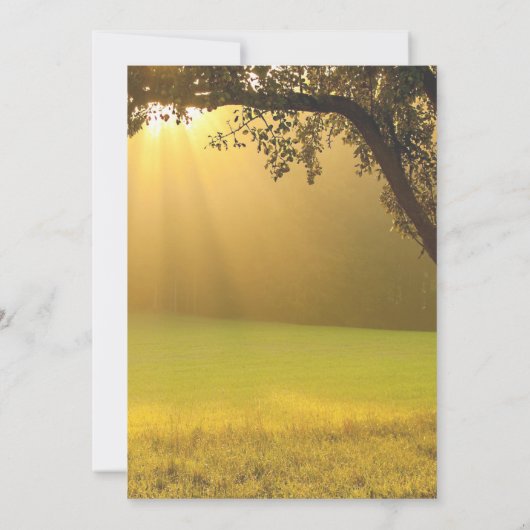 光の列の素朴秋ツリーのヴィンテージ結婚式 招待状 (裏面)