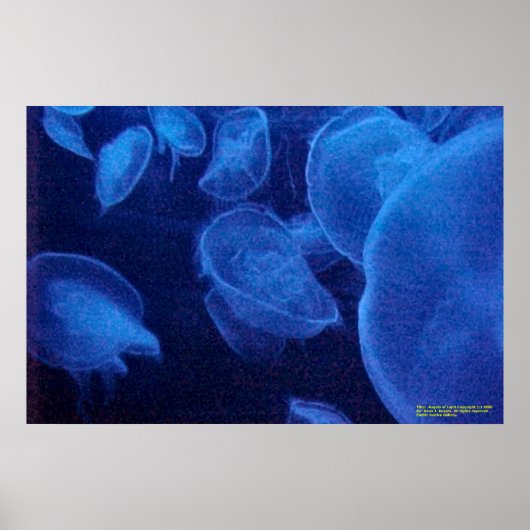 光の天使 ポスター (正面)