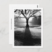 光の木:ダーウェントーター、クンブリア葉書 ポストカード (正面/裏面)