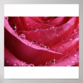 光の窓から ポスター (正面)