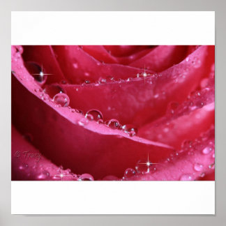 光の窓から ポスター