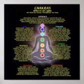 光の輪 ポスター (正面)