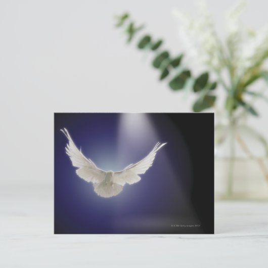 光の飛んでいるビームを通る ポストカード (スタンド正面)