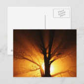 光はがき ポストカード (正面/裏面)