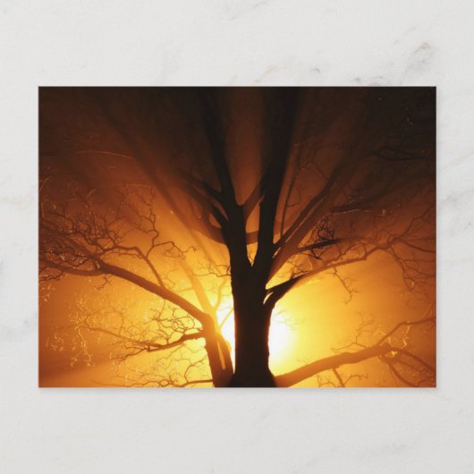 光はがき ポストカード (正面)