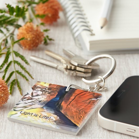 光は生命 - 海岸の石の割れ目に キーホルダー (正面右)