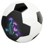 光るハエトリソウ サッカーボール (3/4)