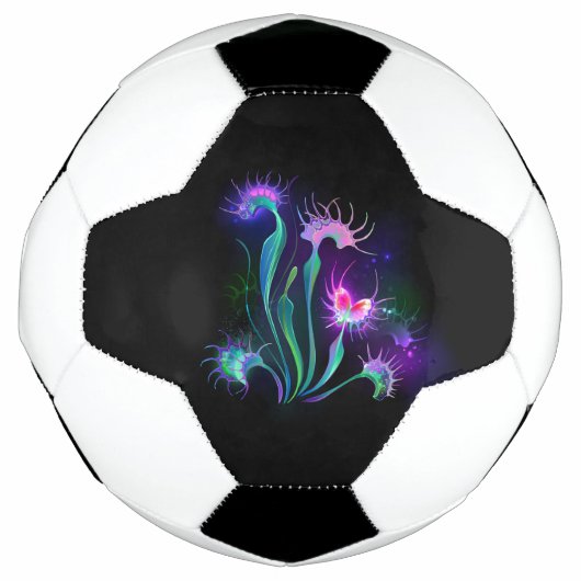 光るハエトリソウ サッカーボール (正面)