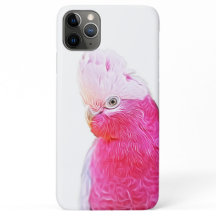 光る鸚鵡の鳥芸