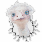 光るEmuアート シール (正面)