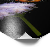 光を当てなさい フォトプリント            (角)