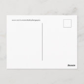 光を当てなさい ポストカード (裏面)