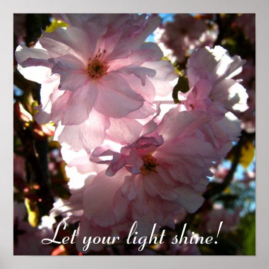 光を当てろ！ ポスター (正面)