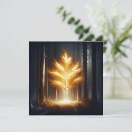 光を照らす カード (スタンド正面)