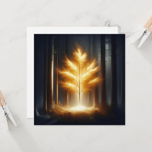 光を照らす カード (正面/裏面インサイチュ)