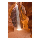 光を照らす フォトプリント            (正面)