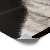 光を見ろ！ ポスター (角)