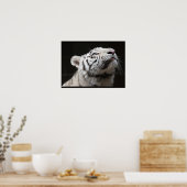 光を見ろ！ ポスター (キッチン)