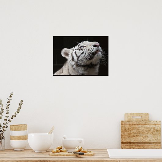 光を見ろ！ ポスター (キッチン)