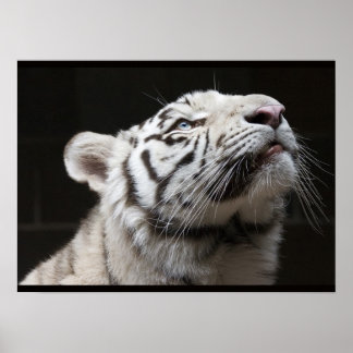 光を見ろ！ ポスター