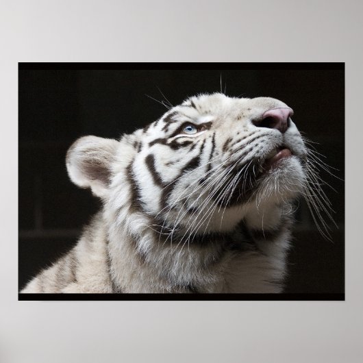 光を見ろ！ ポスター (正面)