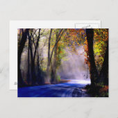 光を輝かせなさい ポストカード (正面/裏面)