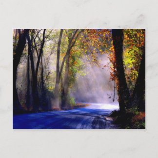 光を輝かせなさい ポストカード