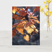 光を通して照らす カード (黄色い花)