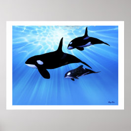 光エコープリント ポスター