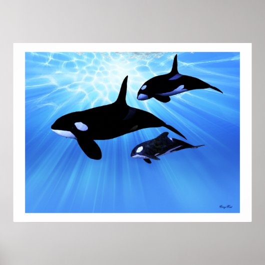 光エコープリント ポスター (正面)