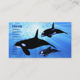 光エコー名刺 名刺